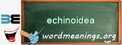 WordMeaning blackboard for echinoidea